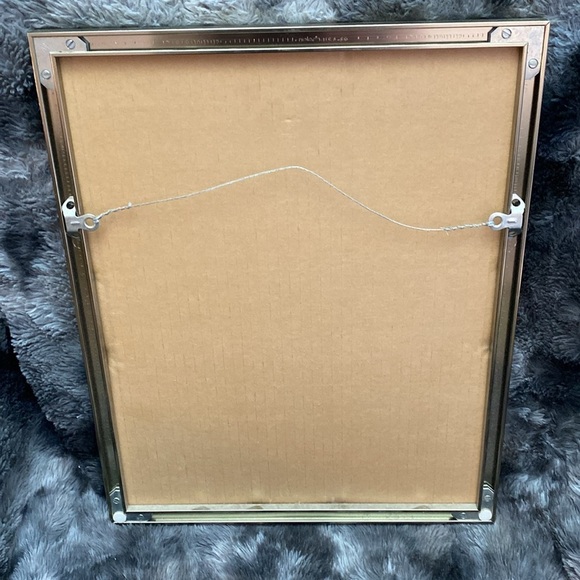 Framed Trogon Bird Art Print - Picture 7 of 16